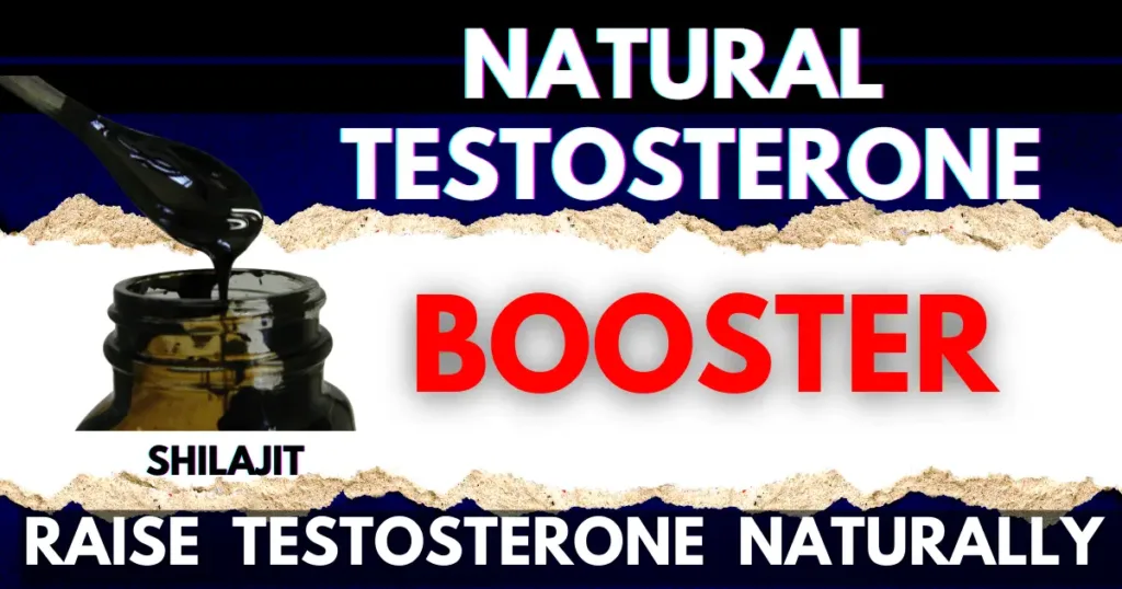 shilajit testosterone booster