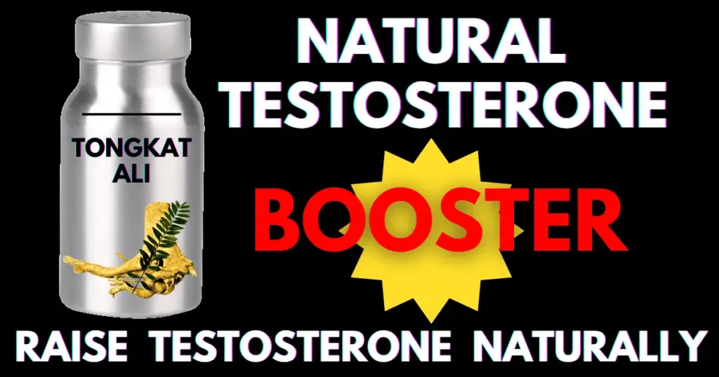 tongkat ali testosterone booster