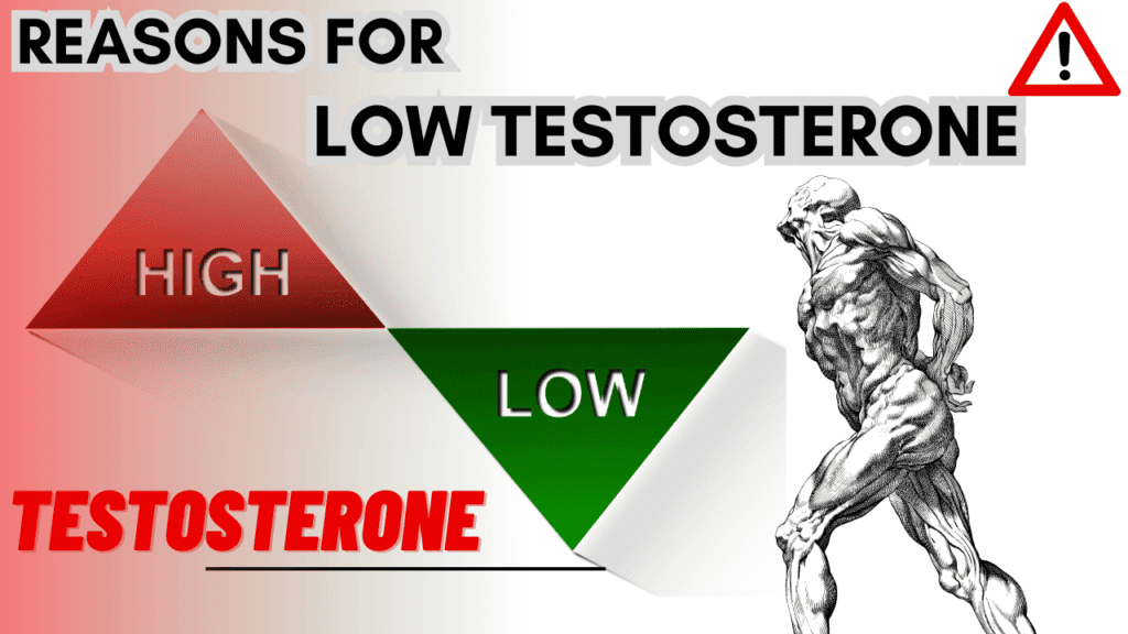 reason for testosterone
